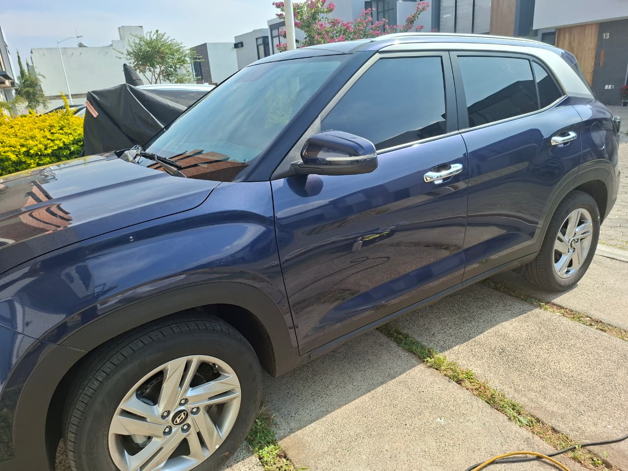 Polarizado profesional